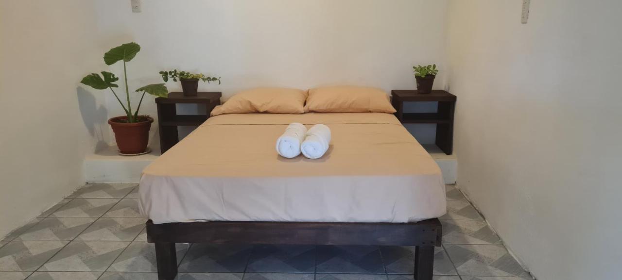 Casa Choco Hotel Mazunte Ngoại thất bức ảnh