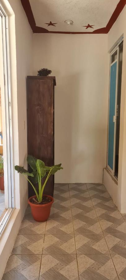 Casa Choco Hotel Mazunte Ngoại thất bức ảnh