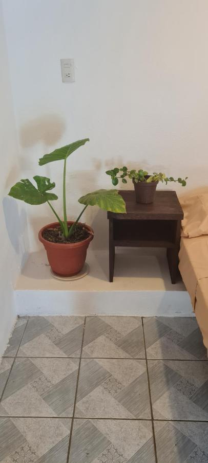 Casa Choco Hotel Mazunte Ngoại thất bức ảnh